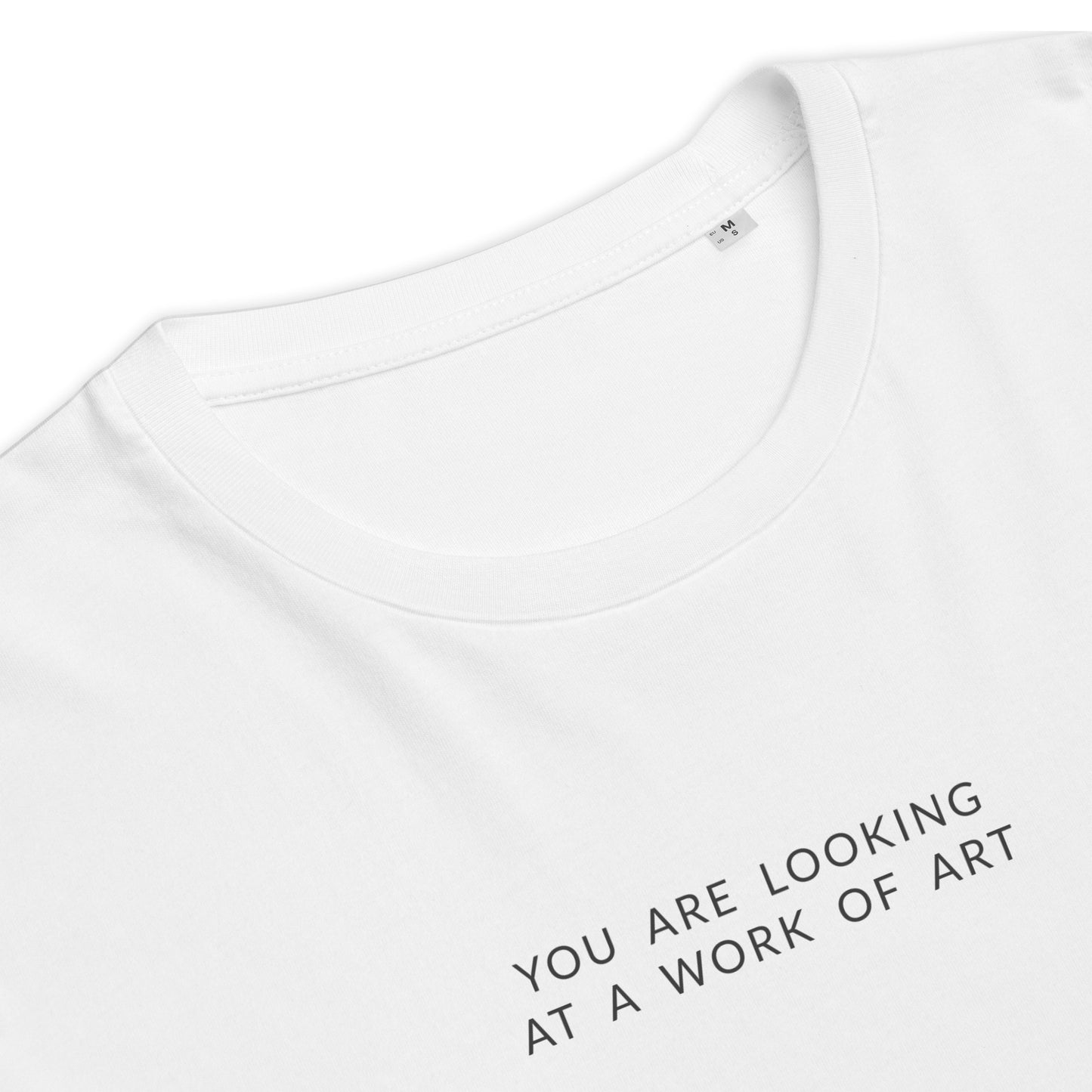T-Shirt | You are looking at a Work of Art