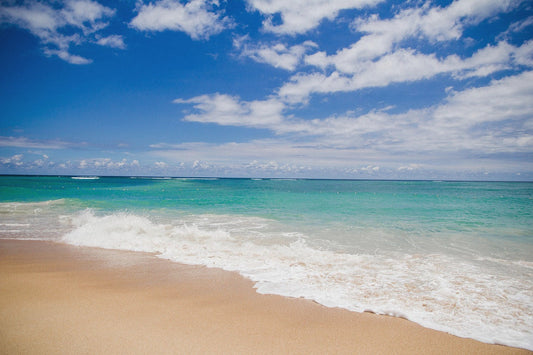 The OCEAN Within Us